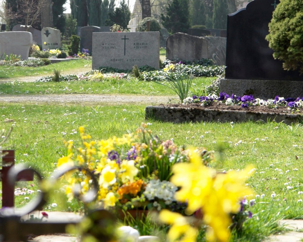 Annual Helper - Headstone Helper